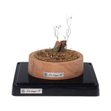 Early Winter Forest, Acorns and Mushrooms: Art Stage K - Diorama Art Work Non-Scale