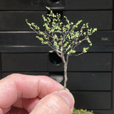 Small cottage in the grasslands : Art Stage K - Diorama Art Work 1:150 scale