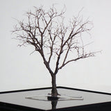 Completed tree model "Nude tree of winter approx. 8cm" : Art Stage K - Modeling work - Non-Scale