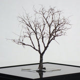 Completed tree model "Nude tree of winter approx. 8cm" : Art Stage K - Modeling work - Non-Scale