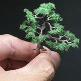 Completed tree model "Pine of garden approx. 5cm" : Art Stage K - Modeling work - Non-Scale
