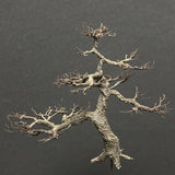 Completed tree model "Pine of garden approx. 5cm" : Art Stage K - Modeling work - Non-Scale