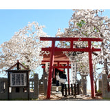 375-13 Cherry Blossom Shrine after School : Modeling 375 - Painted 1:80