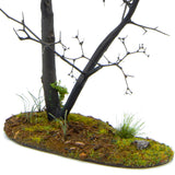 Landscape of dead trees, spring, around 19cm, with base, 1 piece : Accessories for Landscapes, painted and ready to hang, 1:35-48 OWB80001