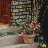 Gardening (stairs) : Nobuko Kameda - Painted non-scale