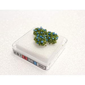 [Modelo] Hortensia azul aprox. 6-8mm : Producto terminado Kigusa BUNKO N(1:150) AJ2