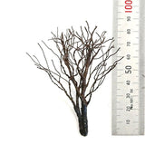 Dead tree B1 black, approx. 8-9 cm, 1 piece : Kigusa BUNKO Finished Non-scale KB1