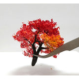 "Model" Maple tree approx. 6cm 1piece : Kigusa BUNKO Finished product - Non-Scale - M2