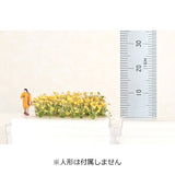 "Model" Canola flower about 6 to 9mm : Kigusa Bunko finished product N(1:150) N1