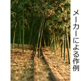 Bosque de bambú aprox. 7-8cm 6 piezas: Kigusa BUNKO producto terminado N(1:150) T1