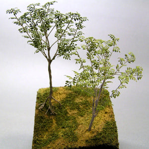 Banyan Tree : Japanese Takumi Material 1:35 A-20