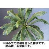Coconut palm II : Wako Material 1:35 A-38
