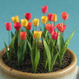 Tulip: Japanese Takumi Material 1:12 G-3