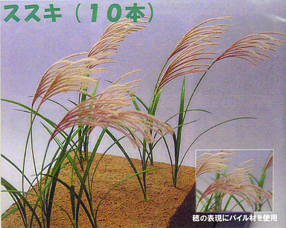 Japanese silver grass : Wako Material 1:12 G-13