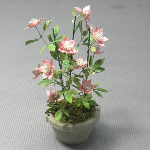 Clematis (Tessen): Japanese clever material 1:12 G-20