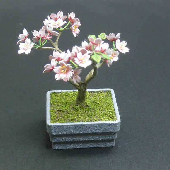 Flor de cerezo Bonsai: material Wako 1:12 G-29