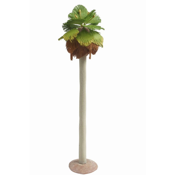 [Model] 46. Washington Palm MH with Base 195mm : Green Art 1:43 1010-B