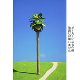 [型号] 47. Washington Palm MH Pin Type 215mm : Green Art Completed 1:43 1010-P