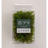 Moss Preserve Shinobugake S : Soraaru Non-scale kp017