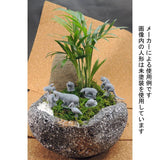 Jirafa en miniatura para diorama hortícola: Icom prepintado sin escala GM8