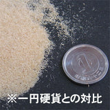 Natural Wood Powder - Japanese Cypress [Fine-grained] Approx. 14g: Morin Material NW-01