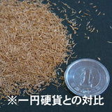 天然木粉栗子 [粗] 约。 17g：莫林材料NW-12