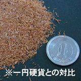 天然木粉 - Zelkova [粗] 约。 19g : 桑葚材料 NW-13