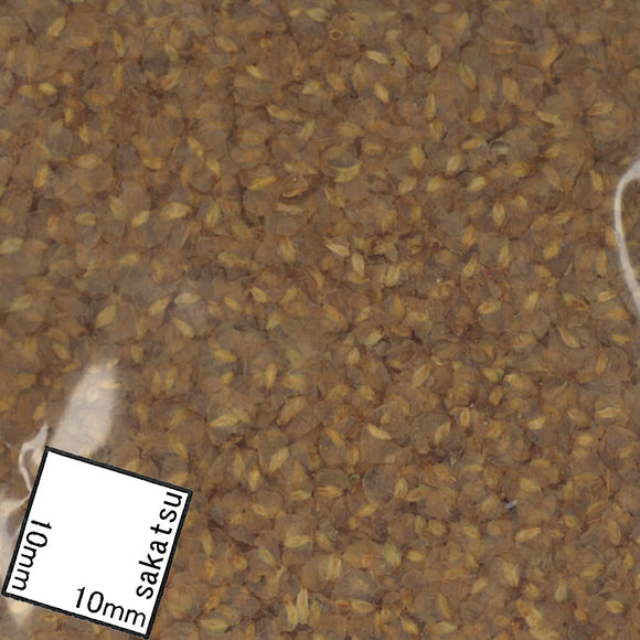 Brown transparent leaves: Jofixe material 1:35 103