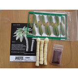 Juego de palmeras A (tipo asiático): Jo-Fix Kit escala 1:35 JF181035