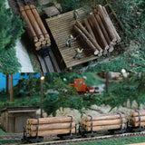 Forest Railway Small Scale Layout : Kobo Einaroquni Finished product model 1:87 3010