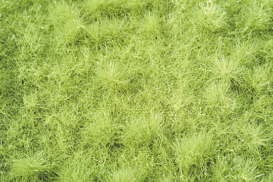 有灌木的草甸，萌芽的春天：缩影自然材料非比例 713-21