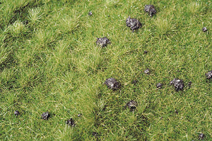 Meadow with molehills Autumn is coming : Miniatures Nature Materials Non-scale 714-23