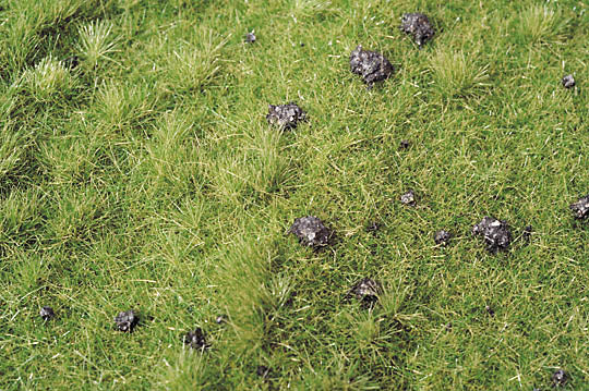 有鼹鼠丘的草地秋天来了：缩影自然材料非比例 714-23