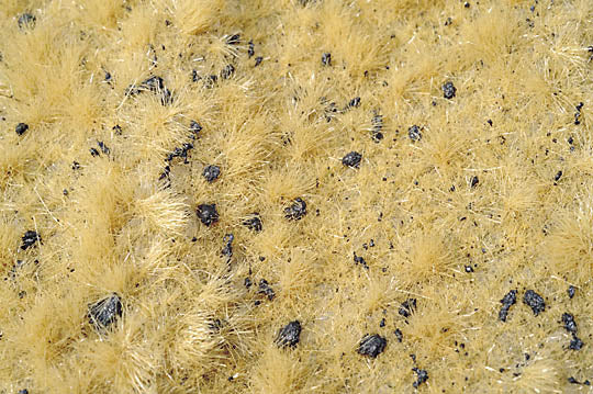 有鼹鼠丘的草甸 冬天来了：缩影自然材料非比例 714-24