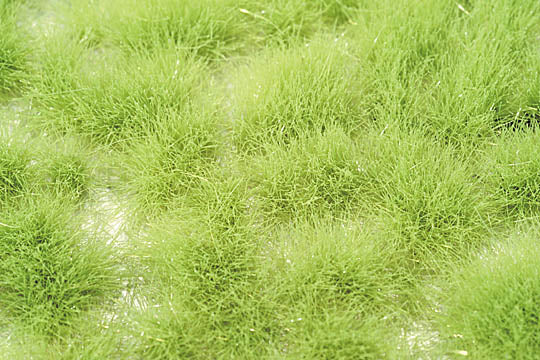 Tall grasses - sprouting spring : Mini Nature Materials Non-scale 727-21