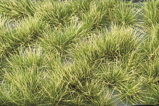 Glowing grass bushes - in the height of summer : Miniatures Nature Materials Non-scale 737-32