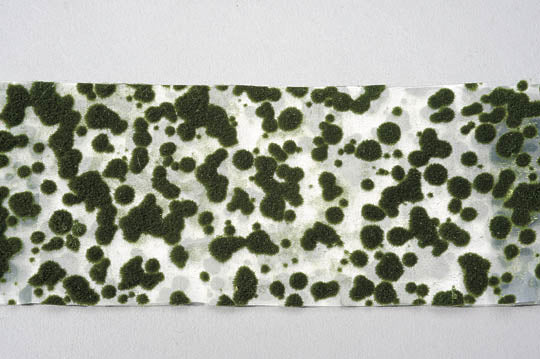 Alfombra de musgo - verde oscuro : Miniatures Nature Materials Non-scale 747-23