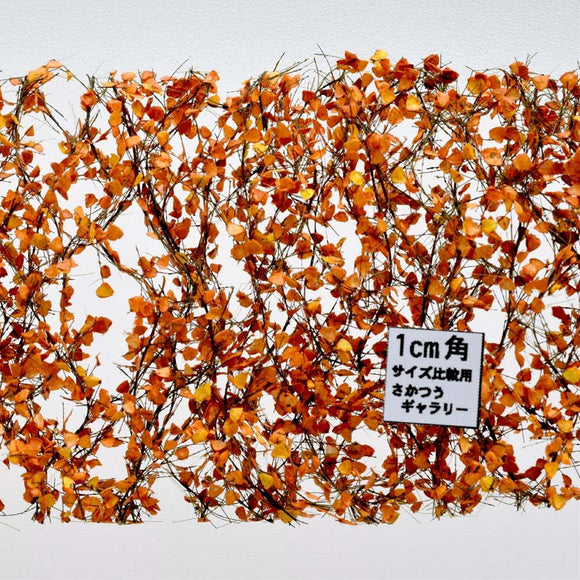 Birch branches and leaves (1:45+) - deepening autumn : Mini Nature Materials Non-scale 910-34