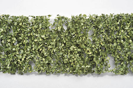 Ramas y hojas de haya (1:45+) - El verano está en pleno apogeo: Miniatures Nature Materials Non-scale 920-32