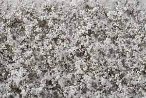 White plum blossom, Someiyoshino : Miniatures Nature Materials Non-scale 927-21