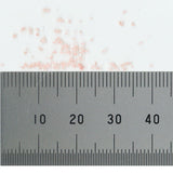 Material empolvado Flores rosa claro: Mini Nature Materials Non-scale 898-16
