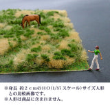 Grass at the edge of the forest. 3 colours mixed: Bush material HO(1:87) 1308