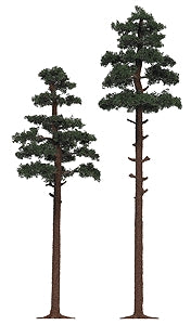 Pine: Bushes complete HO(1:87) 6144