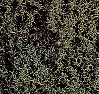 Sponge dark green, fine grain: Bush material, Non-scale 7313