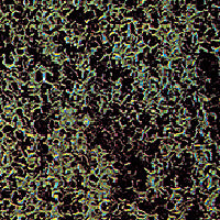 Sponge dark green coarse : Bush material non scale 7319