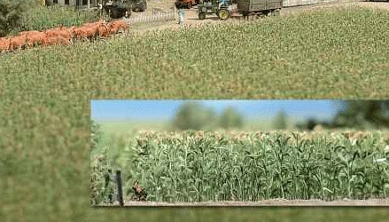 Corn Field Kit : Bush Kit HO(1:87) 1202