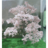 Cherry blossom tree, approx. 7-8cm, 2pcs : JTT Finished product, non-scale 92321