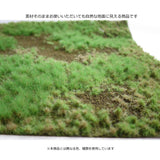 Matt type (pasture), height 4.5 mm, with spring powder: Martin Uhlberg Non-scale WB-M002