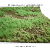 Mat type (pasture), height 4.5 mm, with autumn powder: Martin Uhlberg Non-scale WB-M010