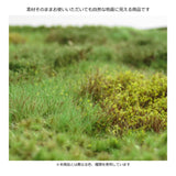 Matte type (meadow), height 12mm, with autumn powder : Martin Uhlberg Non-scale WB-M055